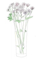 http://www.francesleeceramics.com/files/gimgs/th-10_Home flowers 3.jpg